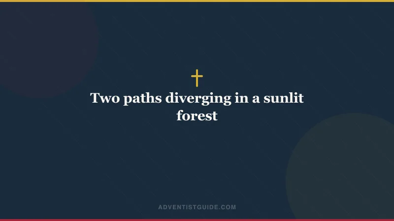 Two paths diverging in a sunlit forest