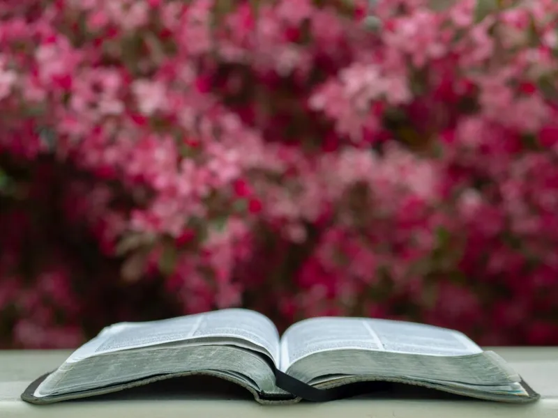 Blooming Grove Seventh-day Adventist Church featured