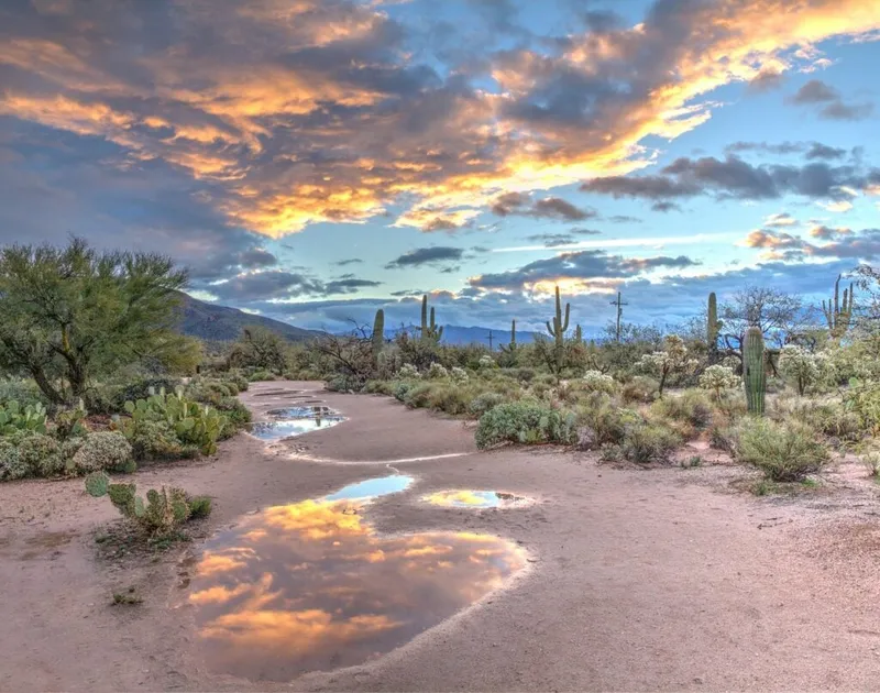 Phoenix Beacon Light Seventh-day Adventist Church featured