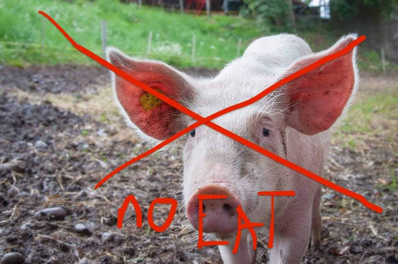 Do Adventists Eat Meat? **The real answer**
