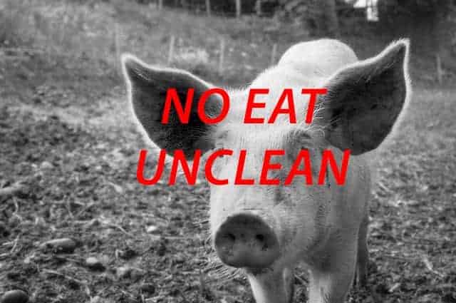 Do Adventists Eat Pork? Here is Why (with pics)