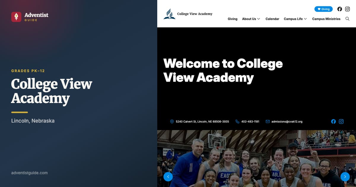 The College View Academy website