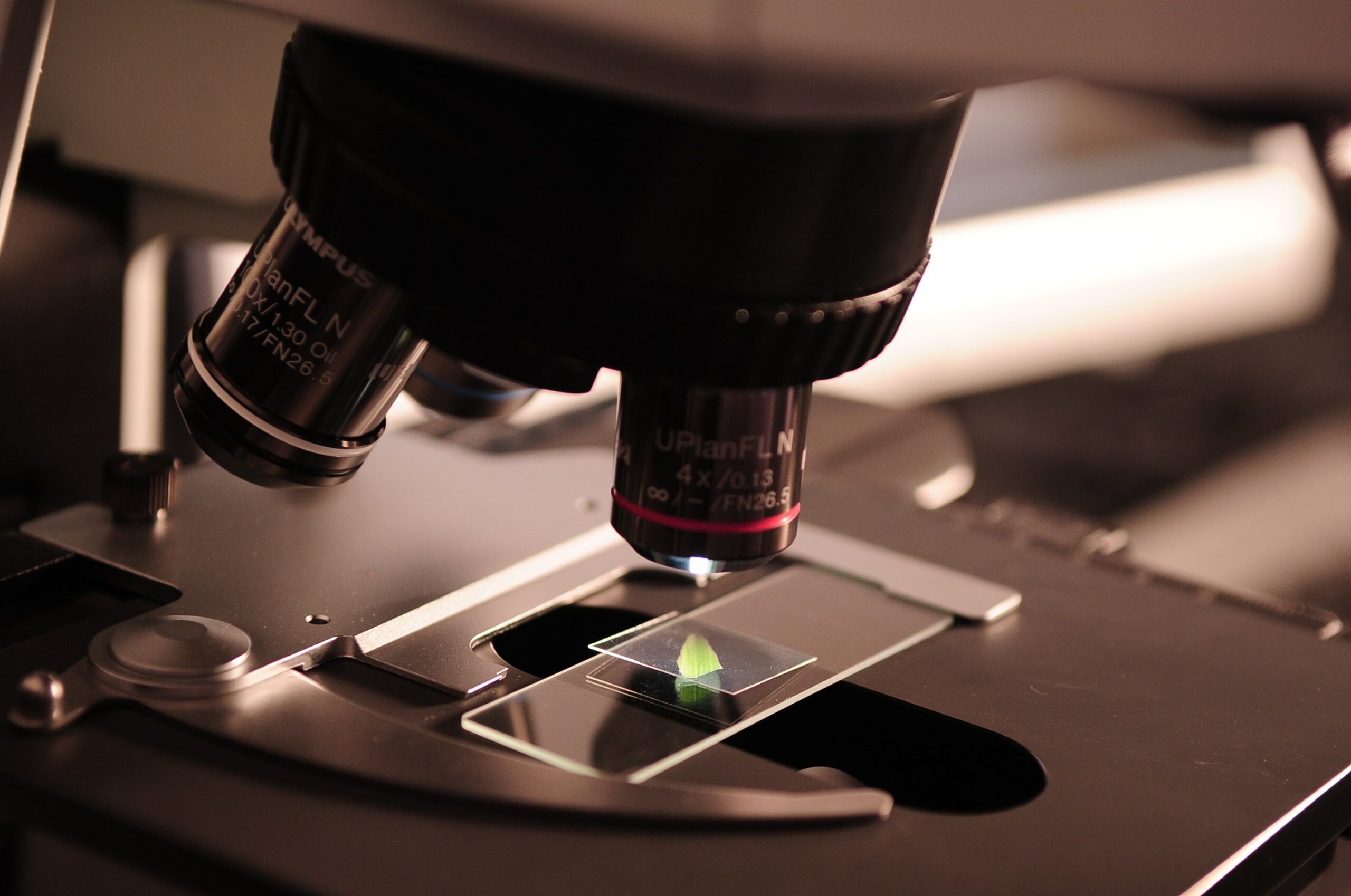 What Are the Adventist Views on Creation, Evolution, and Science?
